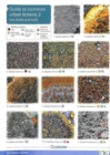 Guide to Common Urban Lichens : On Stones and Soil Pt. 2 - Book