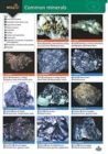 Guide to Common Minerals - Book