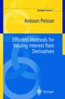 Efficient Methods for Valuing Interest Rate Derivatives - Book