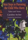 Next Steps in Parenting the Child Who Hurts : Tykes and Teens - Book
