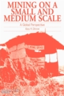 Mining on a Small and Medium Scale : A global perspective - Book