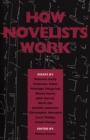 How Novelists Work - Book