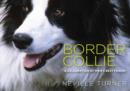 Border Collie - Book