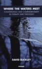 Where the Waters Meet : Convergence and Complementarity in Therapy and Theology - Book