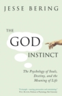 The God Instinct : The Psychology of Souls, Destiny and the Meaning of Life - eBook