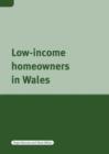 Low Income Home Owners in Wales - Book