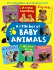 Little Box of Baby Animals - Book