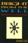 Bright from the Well : Northern Tales in the Modern World - Book