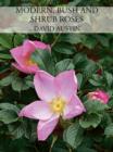 Modern, Bush and Shrub Roses - Book