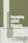 Engaging Large Classes : Strategies and Techniques for College Faculty - Book