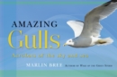 Amazing Gulls - eBook