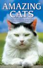 Amazing Cats : Stories of Intuition, Compassion, Mystery & Extraordinary Feats - Book
