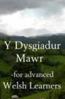 Y Dysgiadur Mawr - eBook