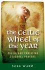 Celtic Wheel of the Year - Book