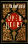 Open Heart - eBook