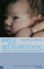 Birth and Breastfeeding - eBook
