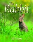 The Rabbit - Book