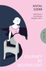 Journey by Moonlight - eBook
