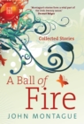 A Ball of Fire - eBook