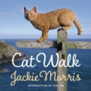 Cat Walk - Book