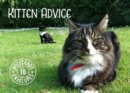 Kitten Advice Notecards - Book