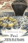 A Different Boy - Book
