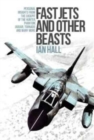 Fast Jets and Other Beasts : Personal insights from the cockpit of the Hunter, Phantom, Jaguar, Tornado and many more - Book