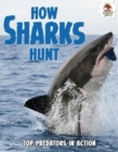 Shark! How Sharks Hunt - Book