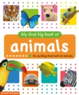 My First Big Book of Animals - Book