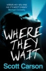 Where They Wait - Book