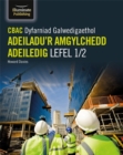 CBAC Dyfarniad Galwedigaethol Adeiladu'r Amgylchedd Adeiledig Lefel 1/2 - Book