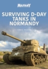 Surviving D-Day Tanks in Normandy - Book