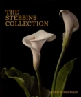 The Stebbins Collection : A Gift for the Morse Museum - Book