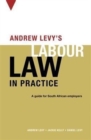 Andrew Levy’s guide to South African labour law - Book