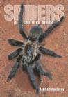 Spiders of Southern Africa - eBook