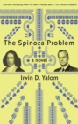 The Spinoza Problem : a novel - eBook