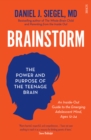 Brainstorm : the power and purpose of the teenage brain - eBook