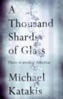 A Thousand Shards of Glass - eBook