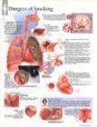 Effects of Smoking Laminated Poster - Book
