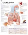 COPD & Asthma Paper Poster - Book