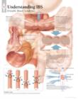 Understanding IBS Paper Poster - Book