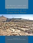 An Investigation into Early Desert Pastoralism : Excavations at the Camel Site, Negev - Book