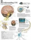 Understanding CNS Laminated Poster - Book