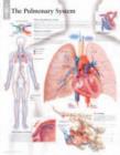 Pulmonary System Paper Poster - Book