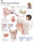 Ear, Nose & Throat Laminated Poster - Book