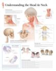 Understanding the Head & Neck Paper Poster - Book