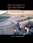 Rural Archaeology in Early Urban Northern Mesopotamia : Excavations at Tell al-Raqa'i - Book
