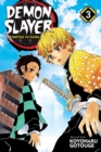 Demon Slayer: Kimetsu no Yaiba, Vol. 3 - Book