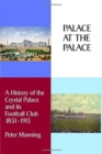 Palace At The Palace : A History of the Crystal Palace and its Football Club 1851-1915 - Book