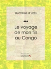 Le voyage de mon fils au Congo - eBook